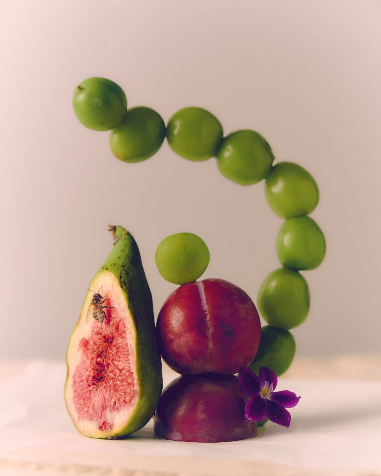 Fig, plums and a stray bee: beauty found in the everyday.
